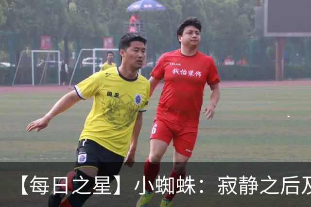 【每日之星】小蜘蛛：寂静之后及时归来 关键时刻轰世界波