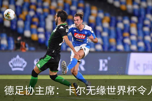 德足协主席：卡尔无缘世界杯令人感伤，送别时有人流下了眼泪