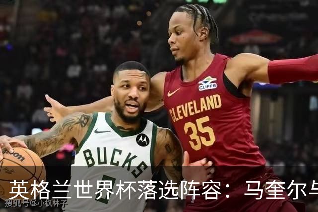 英格兰世界杯落选阵容：马奎尔与帕尔默的双重焦点