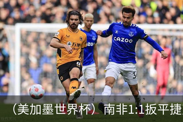 （美加墨世界杯）南非1:1扳平捷克 瑞士4:1战胜十人波黑