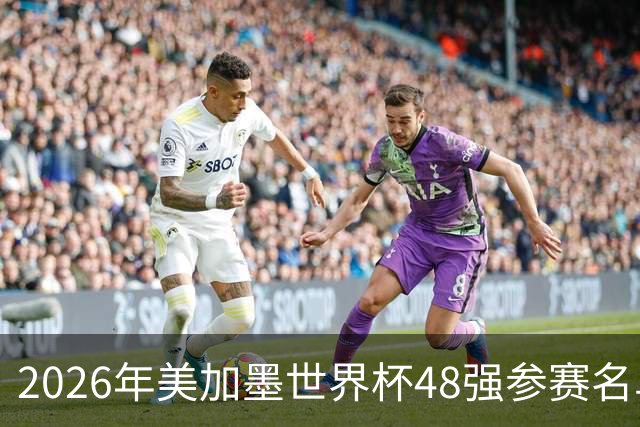 2026年美加墨世界杯48强参赛名单汇总