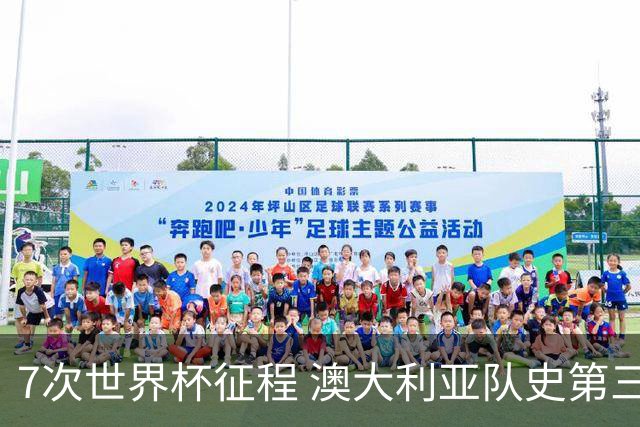7次世界杯征程 澳大利亚队史第三次小组赛出线